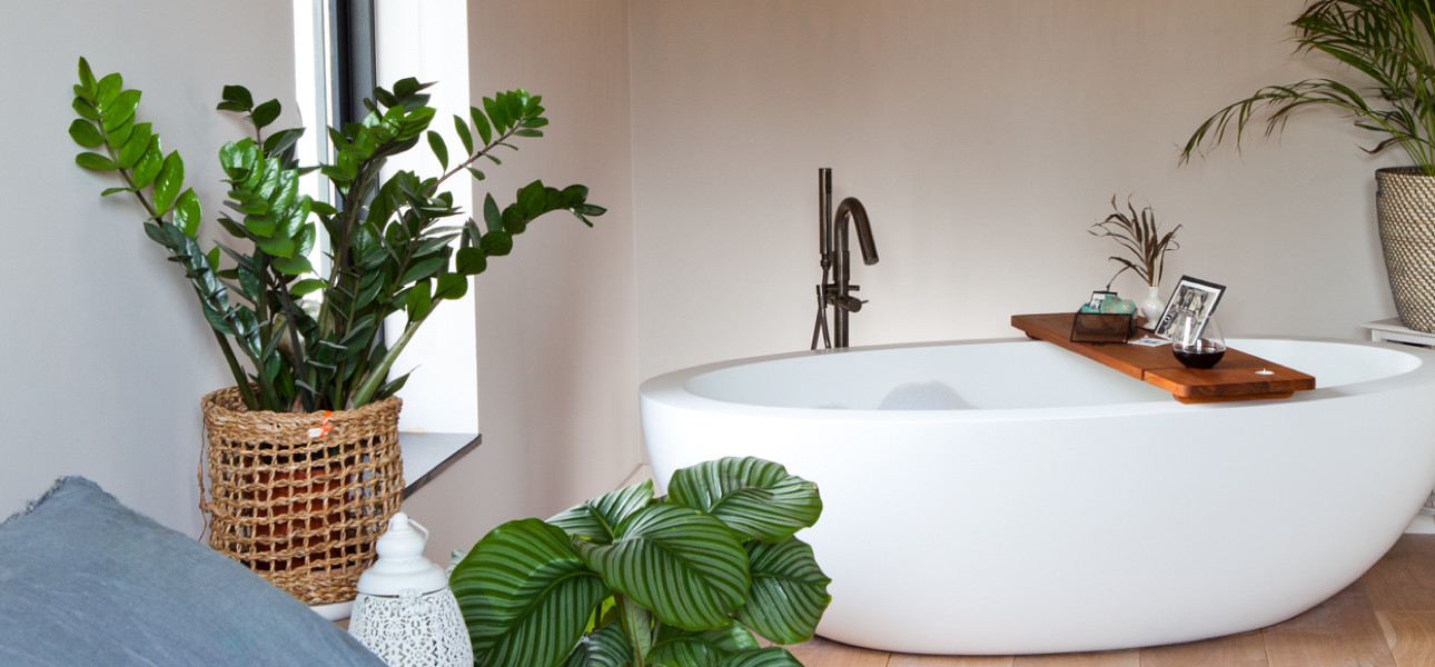 Welke planten overleven in je badkamer?